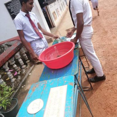 Whatsapp Image 2024 07 19 At 9.57.58 Pm 1