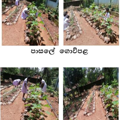 Whatsapp Image 2024 08 01 At 9.26.23 Am 1