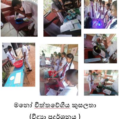 Whatsapp Image 2024 08 01 At 9.26.24 Am